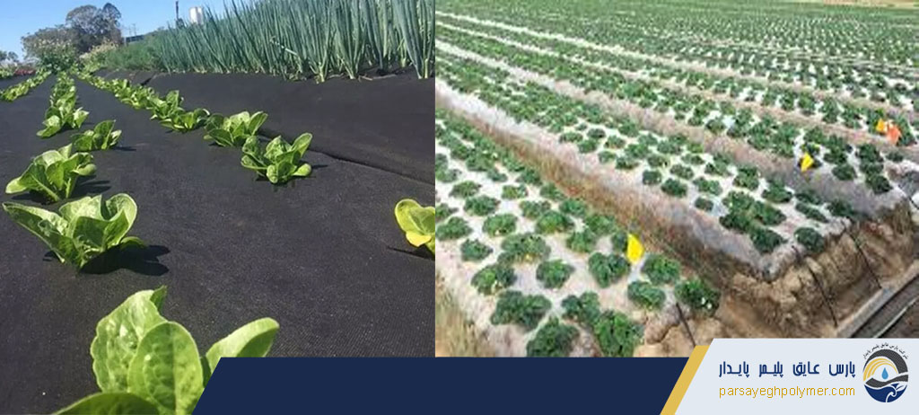 ژئوتکستایل در حفاظت از گیاهان کشاورزی