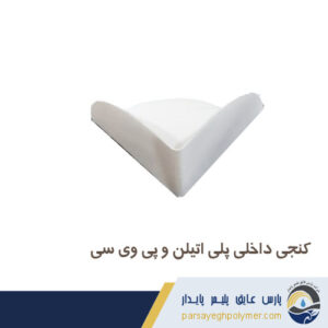 کنجی داخلی