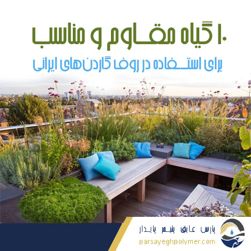 ده گیاه مقاوم برای روف گاردن های ایرانی