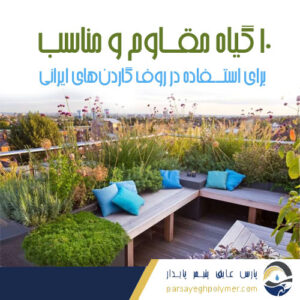 ده گیاه مقاوم برای روف گاردن های ایرانی