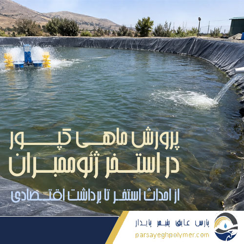 پرورش ماهی کپور در استخر ژئوممبران