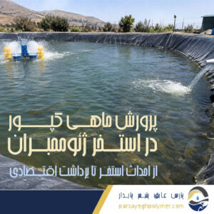 پرورش ماهی کپور در استخر ژئوممبران